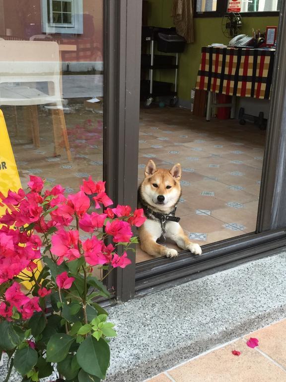 Lei Mi Er Hua Yuan Min Su Daire Pinghe Dış mekan fotoğraf