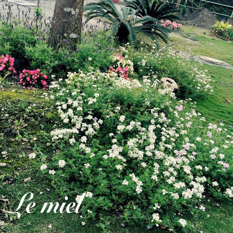 Lei Mi Er Hua Yuan Min Su Daire Pinghe Dış mekan fotoğraf