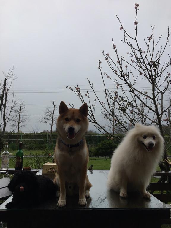 Lei Mi Er Hua Yuan Min Su Daire Pinghe Dış mekan fotoğraf