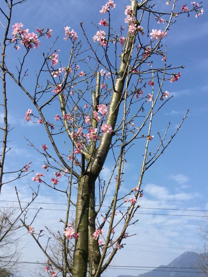 Lei Mi Er Hua Yuan Min Su Daire Pinghe Dış mekan fotoğraf