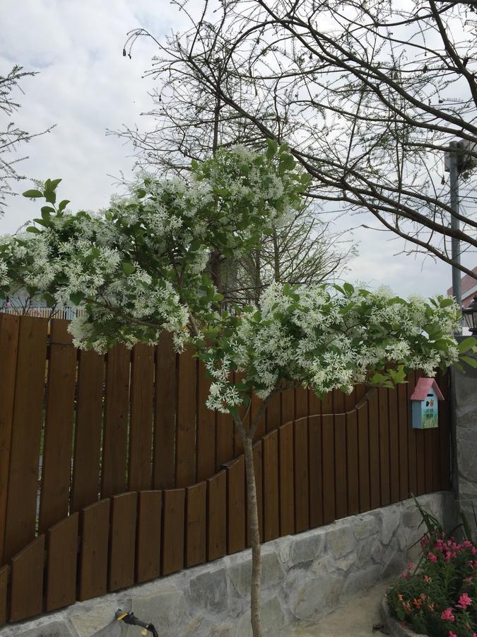 Lei Mi Er Hua Yuan Min Su Daire Pinghe Dış mekan fotoğraf